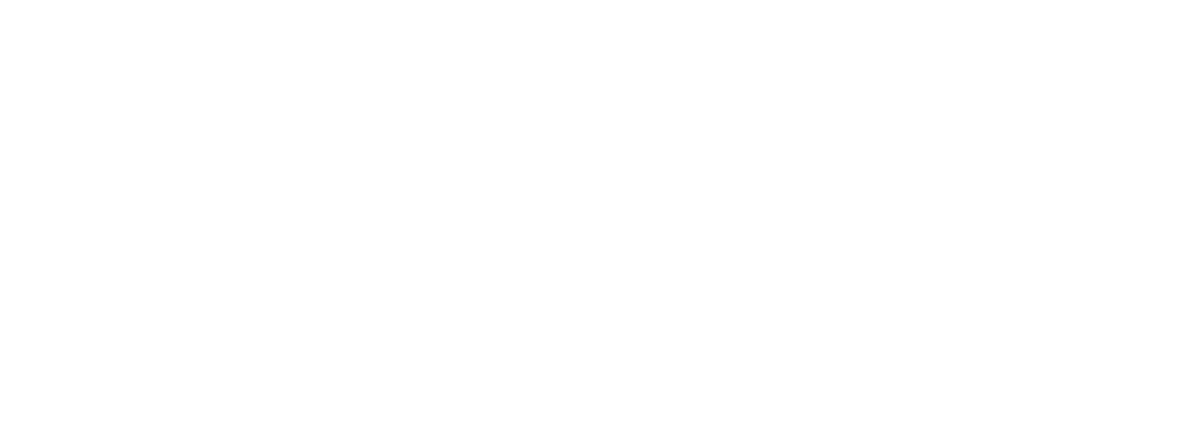 Intelix Safety